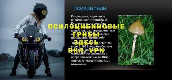 мет Верхний Тагил