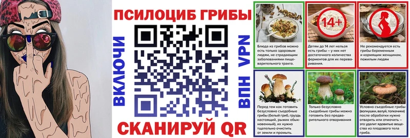 где купить наркоту  Новохопёрск  Псилоцибиновые грибы MAGIC MUSHROOMS 